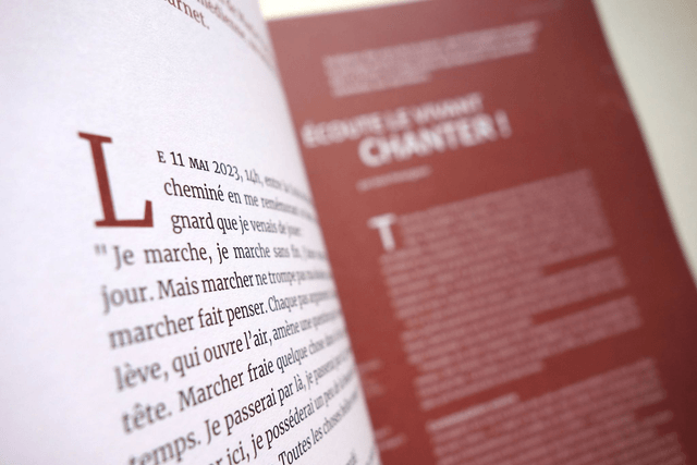 La revue